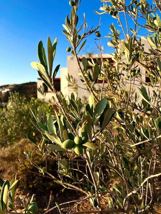 Litois Houses Patmos Sapsila Екстер'єр фото